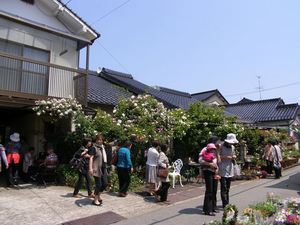 20120527_53_R.JPG